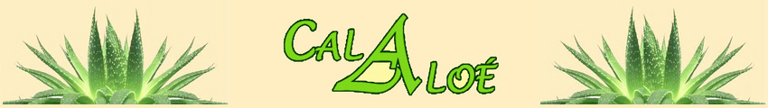 Logo de Calaloé